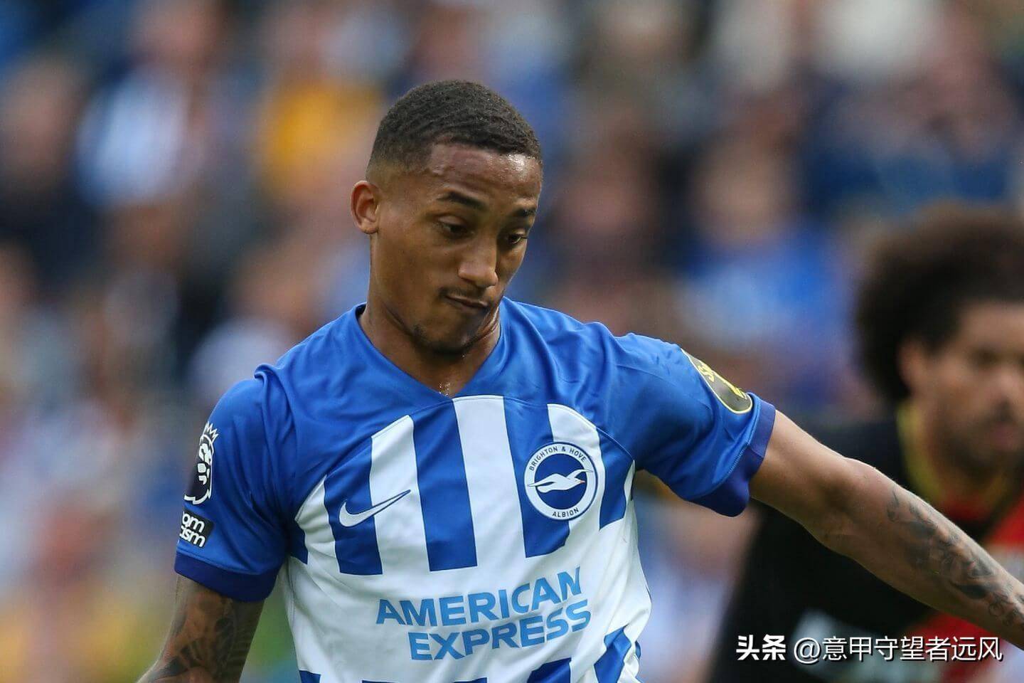 布莱顿取得连胜,近期表现高人一等 布莱顿取得连胜,近期表现高人一等