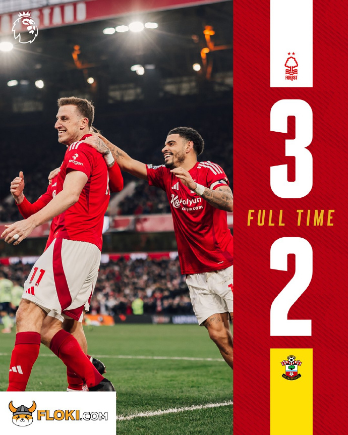 悟空体育-南安普顿主场告捷,英超保级前途更加明朗