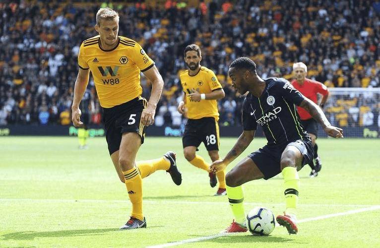 南安普顿深陷降级区,狼队绝杀主场取胜 南安普顿深陷降级区,狼队绝杀主场取胜