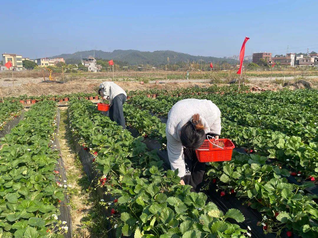 悟空体育-深耕基地边缘,新秀展现潜力助队摘果