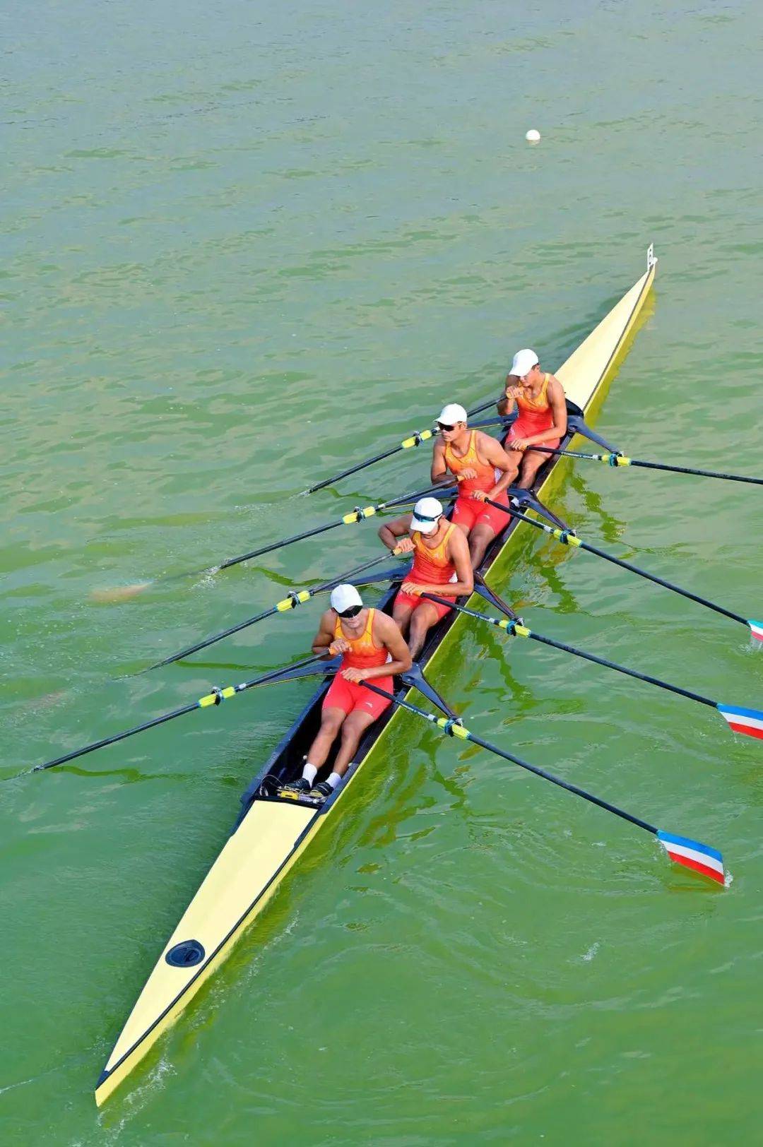 赛艇比赛惊险刺激,中国选手获金 赛艇比赛惊险刺激,中国选手获金