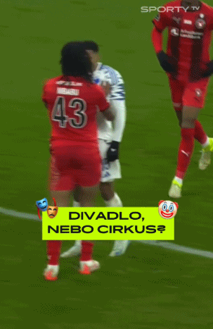 萨尔茨堡横扫丹麦哥本哈根进四强 萨尔茨堡横扫丹麦哥本哈根进四强