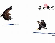 雷丁连取七分：鹰击长空终见胜利