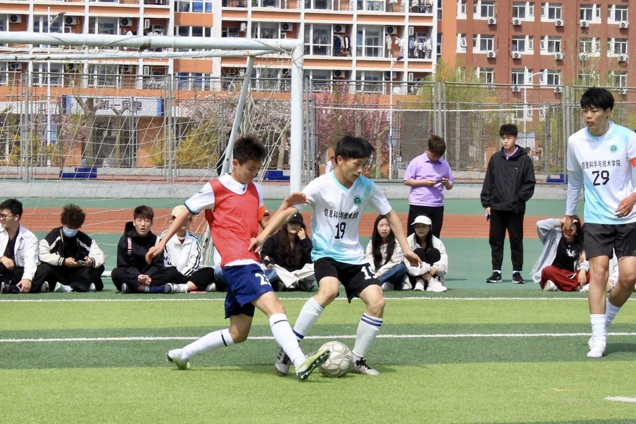 峥嵘岁月：足球赛场上见证球员们的成长与拼搏