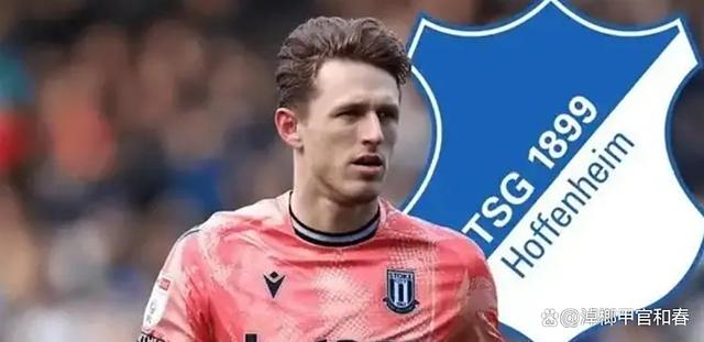霍芬海姆球员被罚下场,影响球队表现 霍芬海姆球员被罚下场,影响球队表现