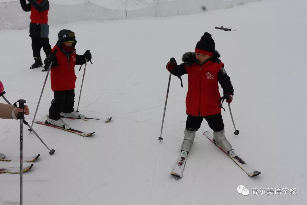 哈尔滨队坚韧不拔,力争前行 哈尔滨队坚韧不拔,力争前行